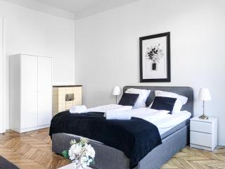 Prime Location Chic Apt, Near AKH Hospital - Wenen - 8