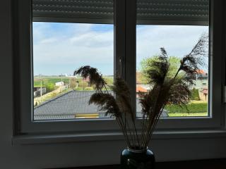 airport Belgrade 2bedrooms - Surčin - 8