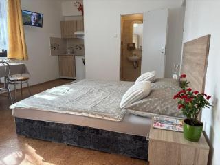 Apartmanovy dom Grand - Štúrovo - 5