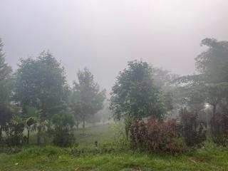 Hasiruvana Homestay - 0