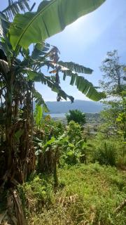 100 cottage stay - Pokhara - 0