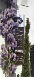 Mosel - River - Quartier 31 - Lieser - 8