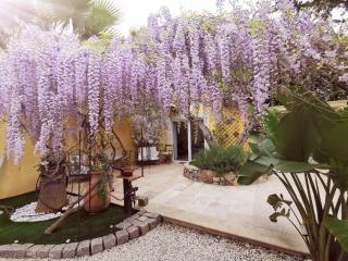 Maison de Charme en couleurs - Cuers - 2