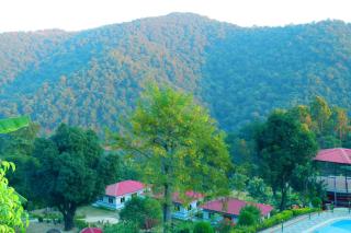 Shalini Batika & Eco Resort - Tigri - 7