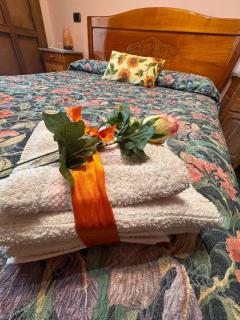 Cozy HOUSE - San Salvatore - 7