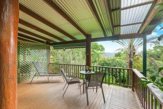 Atherton Blue Gum - Atherton - 0