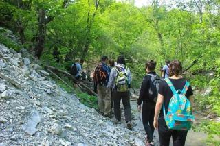 Həzrətqulu Qonaq evi - Rahat Ailəvi Fərdi Çoxotaqlı - 2