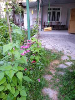 Lahij Central Family House - 3