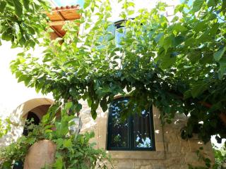 Villa Aloni - Orthés - 9