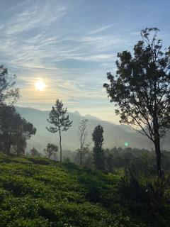 Kay's Tea Estate Bungalow with Waterfall View - Kotagiri - 3