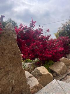 appartamento comfort Malpensa check in h 24 posto auto privato - 8