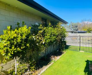 Alpine Private Guest Suite - 1