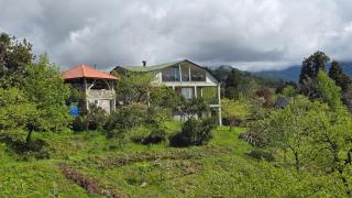 Olga's Home - 9