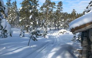Beautiful Home In Koppom With Sauna - Koppom - 4