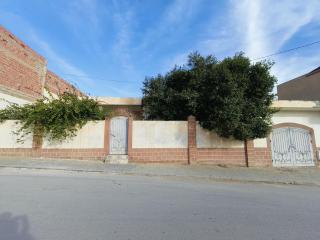 DarNour - - 9