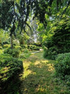 The Willow Tree Lodge - Mablethorpe - 7