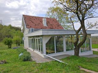 Honey hill apartment Fruska Gora - Čerević - 8