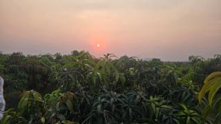 Viraj Mango Orchid Agro Tourism & Resort - Sangli - 3