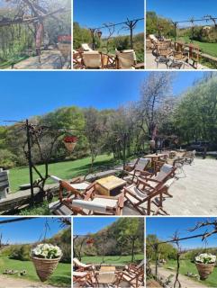 Bonsovi Poliani Hut (хижа Бонсови поляни) - Vladaya - 6
