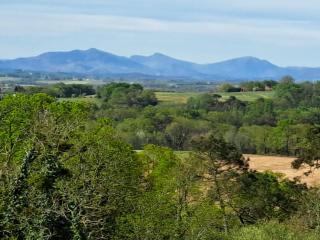 ENTRE ADOUR et MONTAGNE - Pouillon - 5