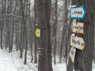 Bonsovi Poliani Hut (хижа Бонсови поляни) - 7