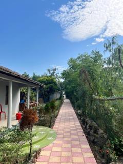 Sundarban Jungle Retreat - 2