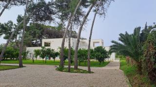 Villa Agapanto - 6