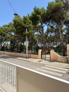 B&B Il Pino - Ruvo di Puglia - 5