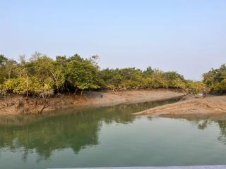 Sundarban Jungle Retreat - Purbbadulki - 7