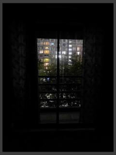 Flat in Kochi 403 - 3