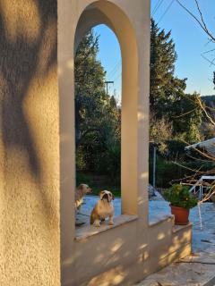 Penthouse Ipsos Marina - 3