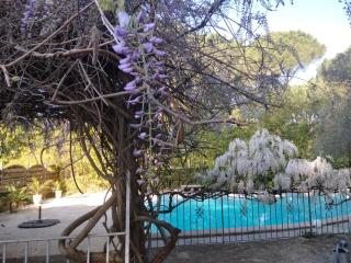 La Bastide des Pins - Castillon-du-Gard - 5