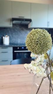 Maison Octavilla - 3