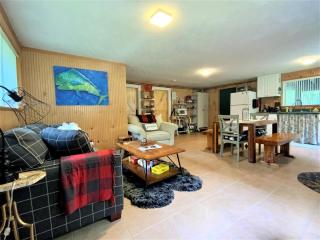 Barney's Retreat- A rustic cabin right on the river with hot tub! - Luray - 5