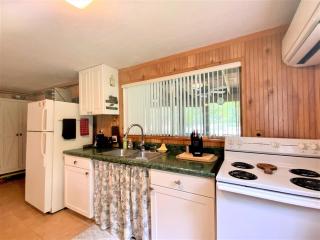 Barney's Retreat- A rustic cabin right on the river with hot tub! - Luray - 3