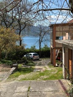 Bosko 1 - Kotor - 9