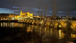 PLAZA ANDALUCIA APARTMENT -A 10min caminando del Puente Romano - Córdoba - 9