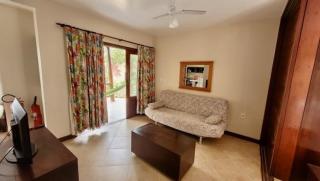 Concha Tropical Flat - 1