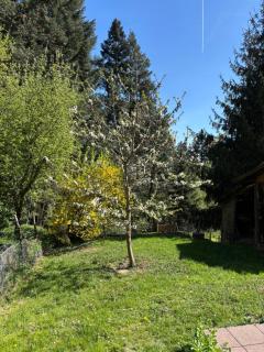 Rheingaulodge -Ihre Auszeit am Rheinsteig - Oestrich-Winkel - 1