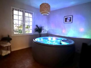 Gite des pins avec spa - 7