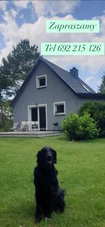 Siedlisko na Ustroniu - Sasino - 9