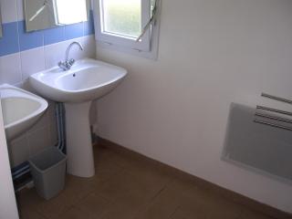 La Salamandre - 1
