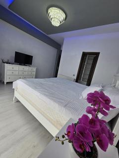 Eika Luxury Apartment Palace of Parliament - Bucharest - 2