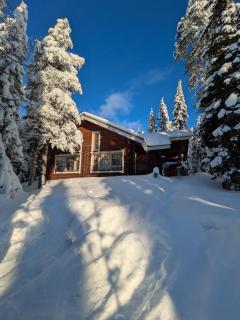 Villa Riekonpesä, Mountain top - Syöte - 0