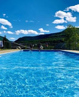 Cabin on Hunter Mtn Seasonal Pool Access w Panoramic Views Hike Swim Fish Unwind - Lanesville - 9