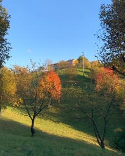 La Corte di Cesio - Caenere - 3