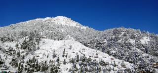 Kastura Cottages - Kanatal - Kanatal - 6