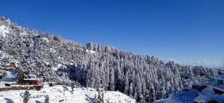 Kastura Cottages - Kanatal - Kanatal - 5