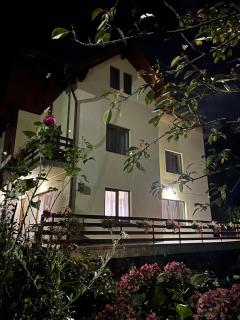 Casa Ador - Sinaia - 0