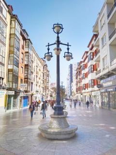 Encanto natural en el centro de Santander - Santander - 5